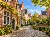 Illustration of Cobbled lane and historic brick houses in Leuven's Groot Begijnhof