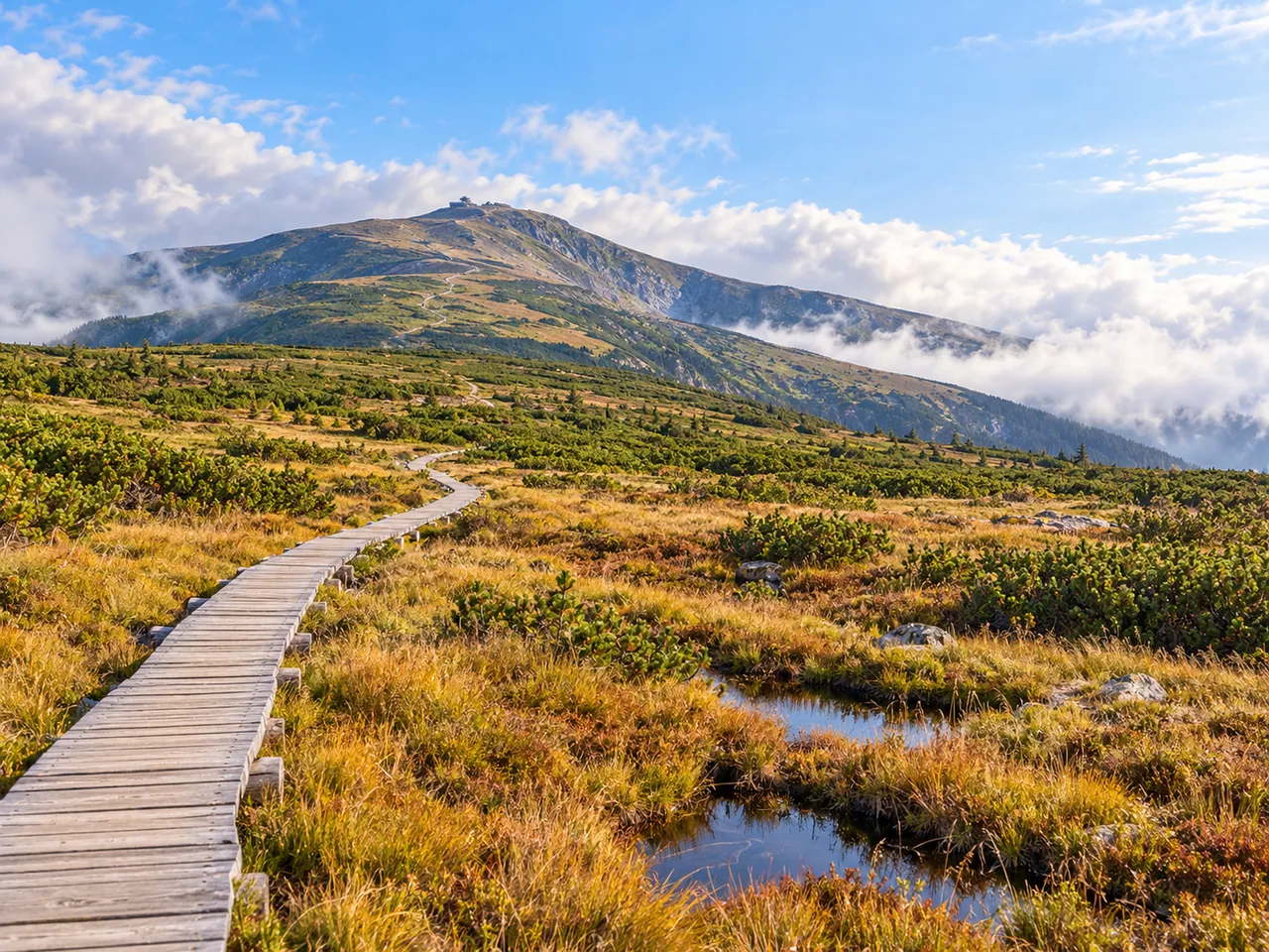 Illustration of Úpské rašeliniště boardwalk toward Sněžka in the Krkonoše
