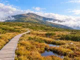 Illustration of Úpské rašeliniště boardwalk toward Sněžka in the Krkonoše