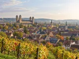 Illustration of Michaelsberg vineyard overlook across Bamberg's UNESCO old town