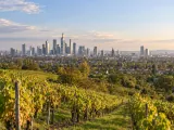 Illustration of Frankfurt skyline from the Lohrberg vineyard