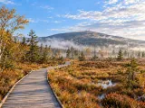 Illustration of Goetheweg boardwalk across Torfhausmoor toward the Brocken