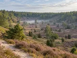 Illustration of Totengrund bowl in the Lüneburg Heath