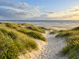 Illustration of East Frisian dune trail opening onto a broad North Sea beach