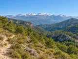 Illustration of Sierra Nevada foothill landscape near Granada