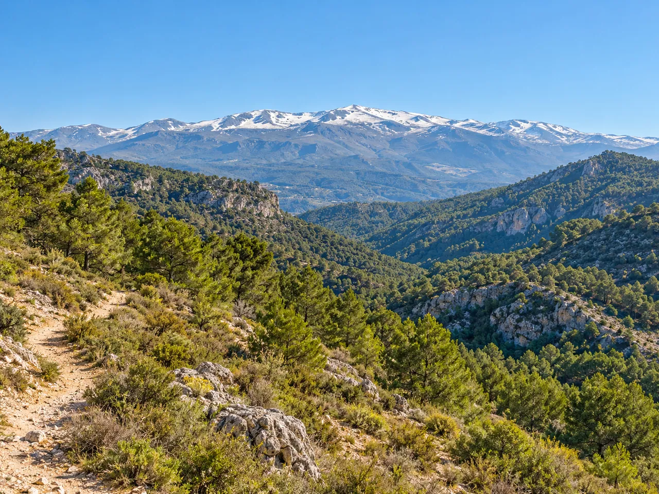 Illustration of Sierra Nevada foothill landscape near Granada