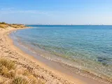 Illustration of Mar Menor shore near Los Alcázares