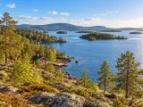 Illustration of Lake Inari-style pine shoreline, low fells and a small red cabin