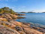 Illustration of Red-granite shoreline of the Åland archipelago