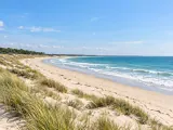 Illustration of Dunes and Atlantic shore on Île de Ré