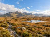 Illustration of Connemara mountain and blanket-bog landscape