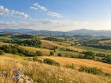 Illustration of Molise agricultural hills