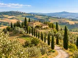 Illustration of Val d’Orcia-style rolling hills, farmhouse and cypress lane