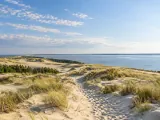 Illustration of Curonian Spit lagoon-side dunes