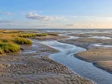 Illustration of Wadden tidal flats beside Terschelling