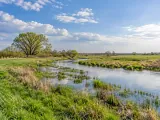 Illustration of Representative Warta-mouth wet meadow landscape in Lubusz