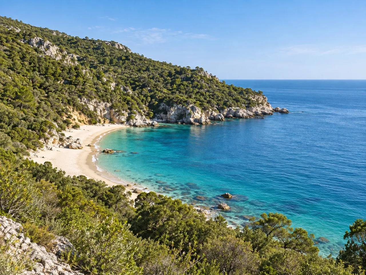 Illustration of Wooded hills, pale sand and clear sea on the Arrábida coast, Setúbal Peninsula; representative cove, no exact shoreline geometry claimed.