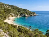 Illustration of Wooded hills, pale sand and clear sea on the Arrábida coast, Setúbal Peninsula; representative cove, no exact shoreline geometry claimed.