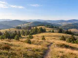 Illustration of Representative Zlatibor rolling meadows and pine groves