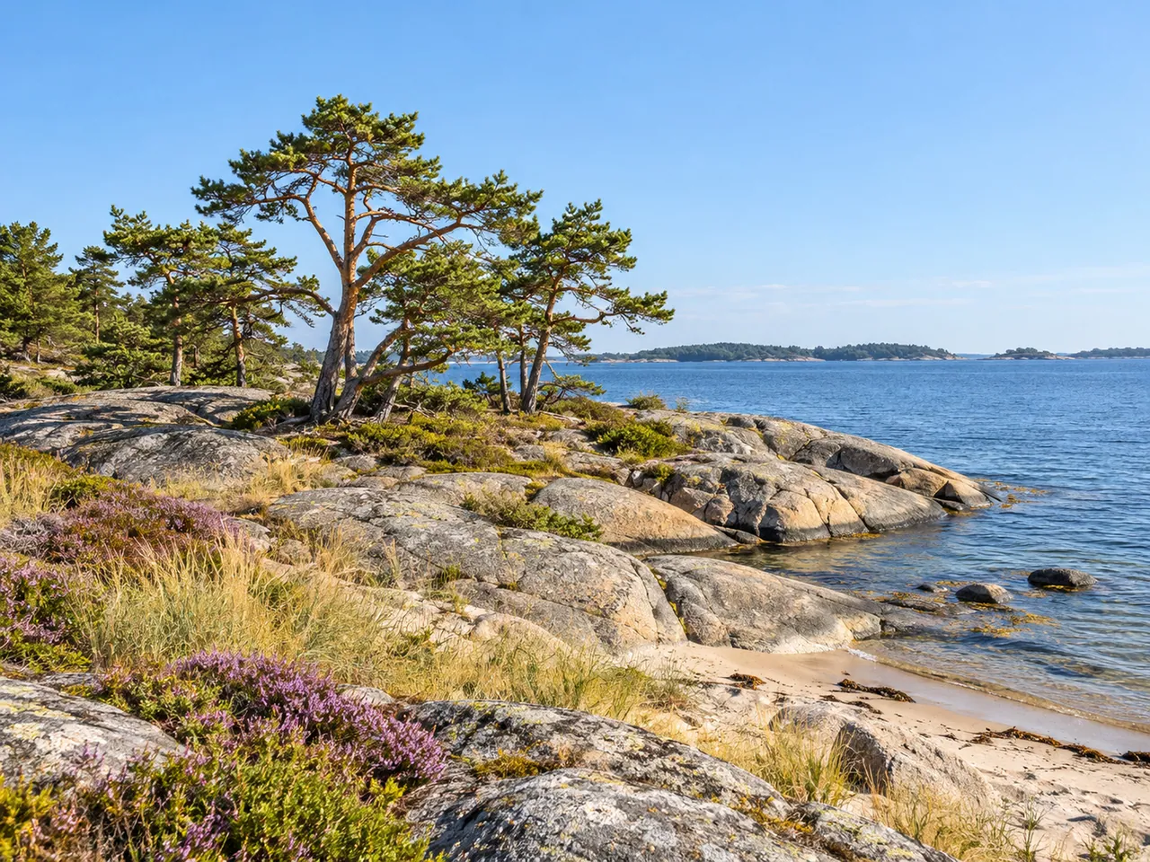 Illustration of Pine-fringed smooth granite and sandy shoreline on Sandön near Sandhamn, outer Stockholm archipelago