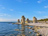 Illustration of Weathered limestone sea stacks on the shore of Fårö, Gotland