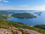 Illustration of Forested hills and sheltered Baltic inlets on Sweden’s High Coast