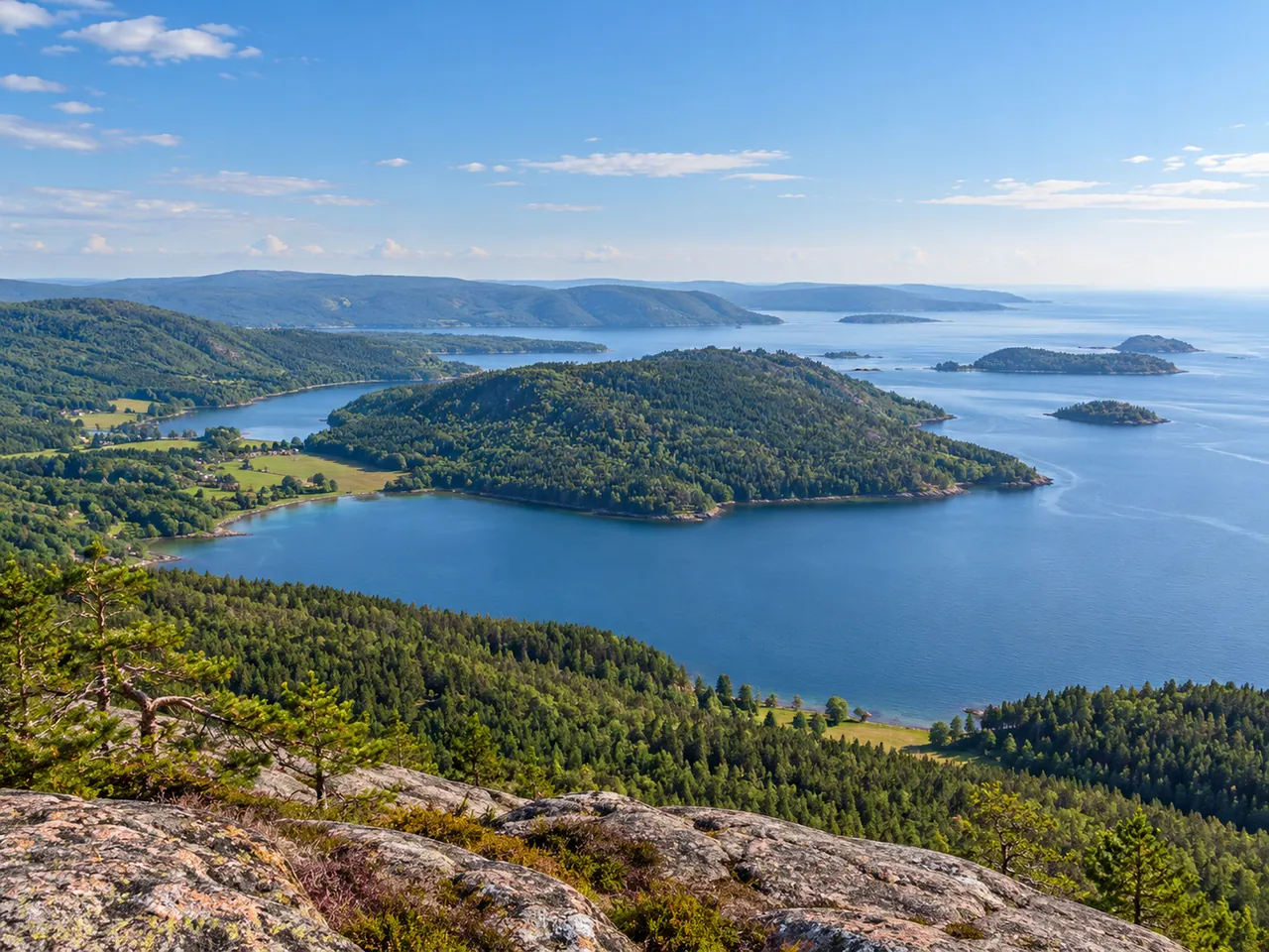 Illustration of Forested hills and sheltered Baltic inlets on Sweden’s High Coast