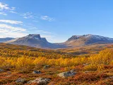 Illustration of Lapporten / Čuonjávággi mountain silhouette viewed southeast from the Abisko area above golden mountain birch woodland